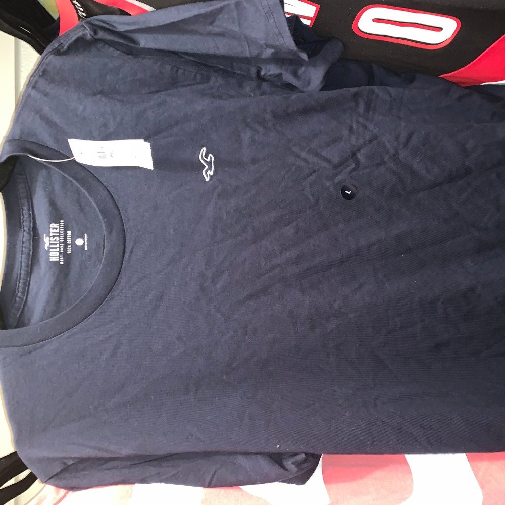 NEW Hollister Crew T-Shirt Mens "L"
